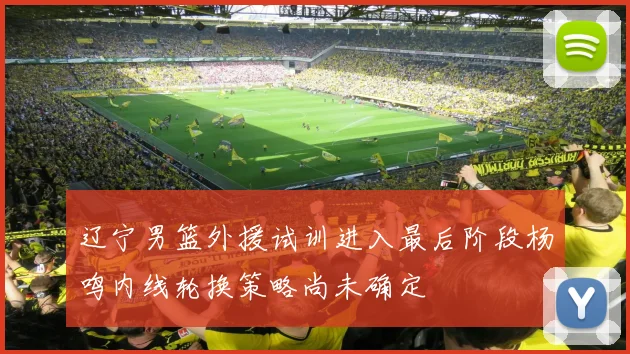 辽宁男篮外援试训进入最后阶段杨鸣内线轮换策略尚未确定
