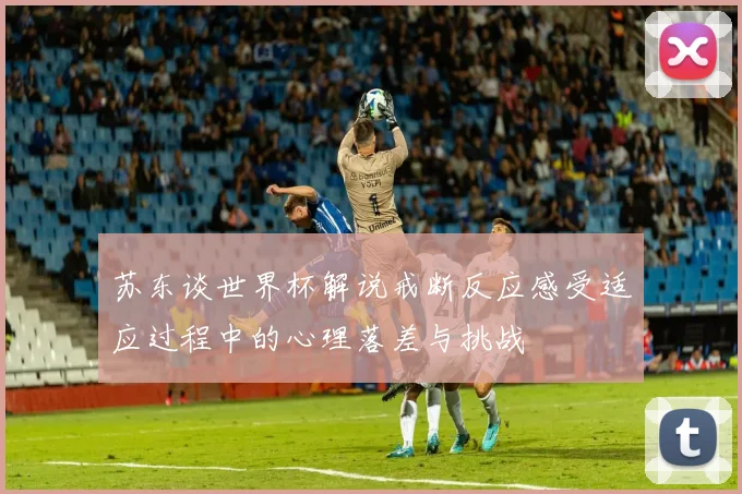 苏东谈世界杯解说戒断反应感受适应过程中的心理落差与挑战
